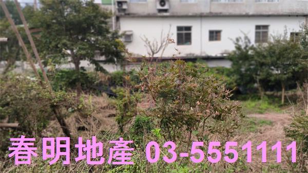 新竹關西建地-7