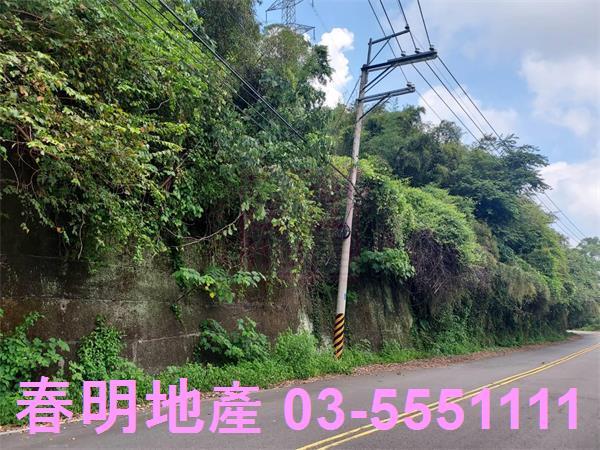 頭份林地-0