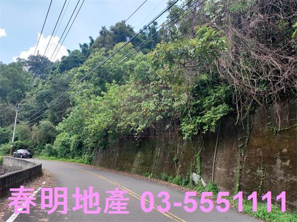 頭份林地-1