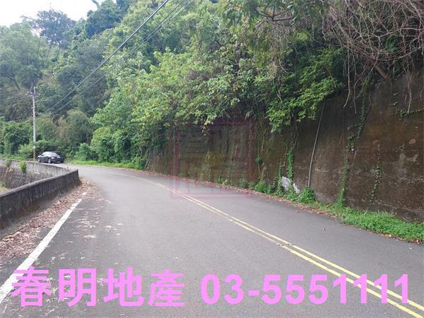 頭份林地-2