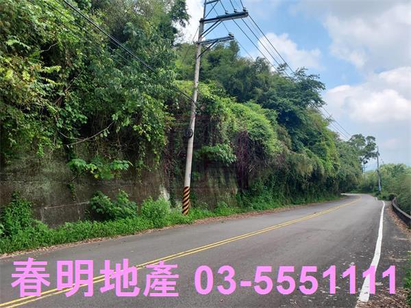頭份林地-3