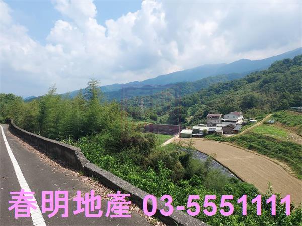 頭份林地-4