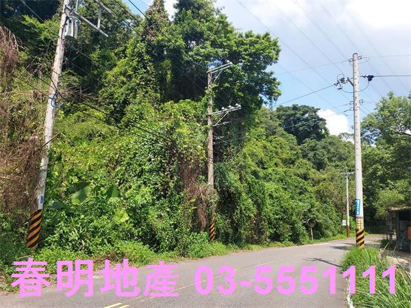 頭份林地-7