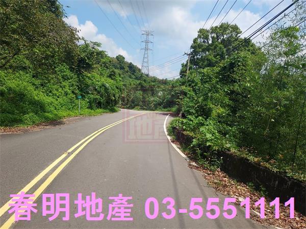 頭份林地-8