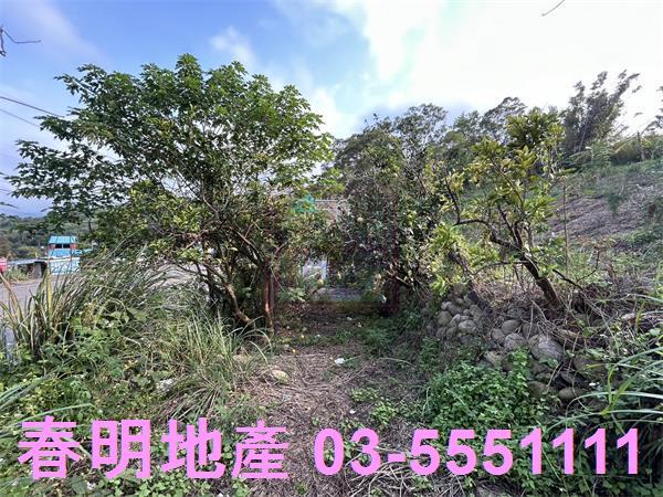 新竹峨眉農地-3