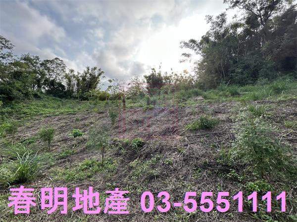 新竹峨眉農地-6