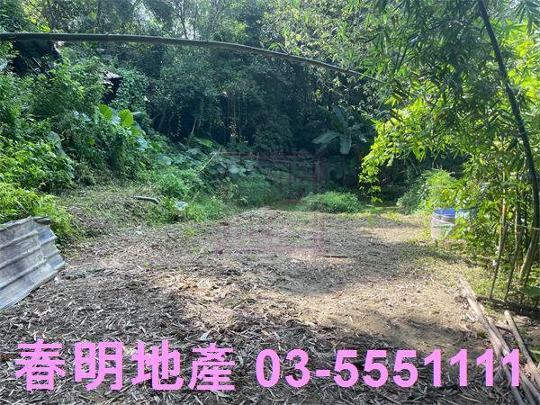 新竹峨眉農地-10