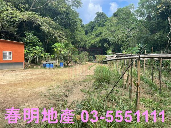 新竹峨眉農地-4