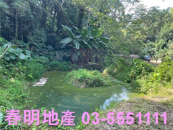 新竹峨眉農地-8