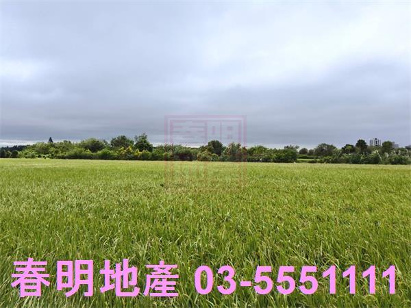 北區農地-0