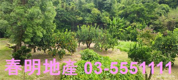 關西農地-0