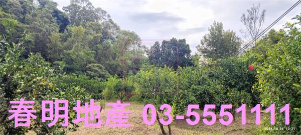 關西農地-1