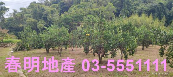 關西農地-2