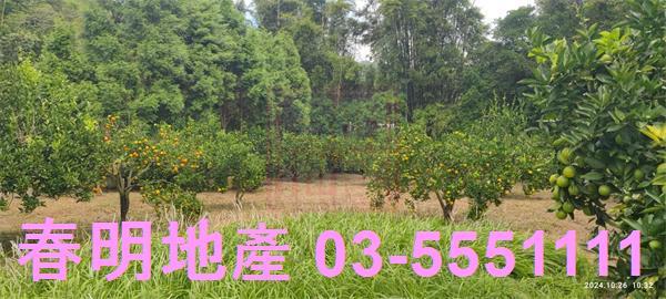 關西農地-5