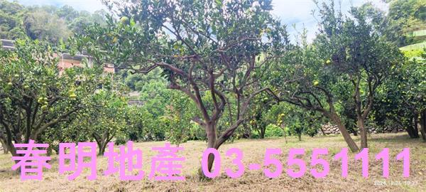關西農地-6