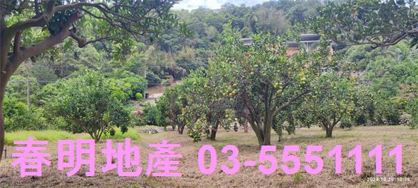 關西農地-7
