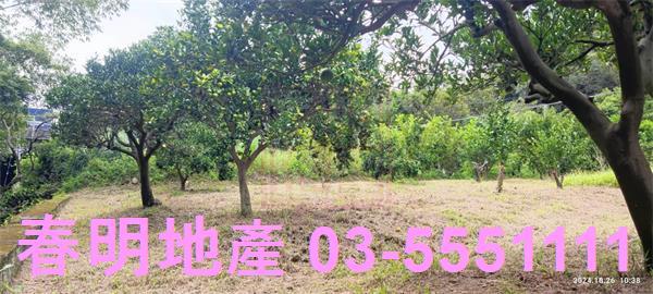 關西農地-8