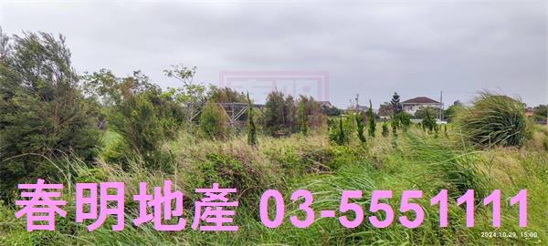 新豐農地-7