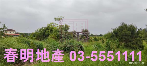 新豐農地-8