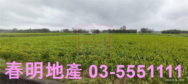 新竹農地-5