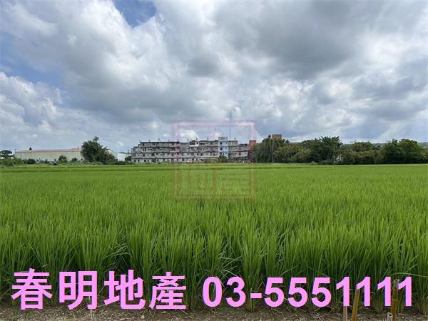 新竹農地-5