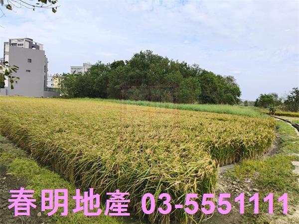 新竹北區農地-5