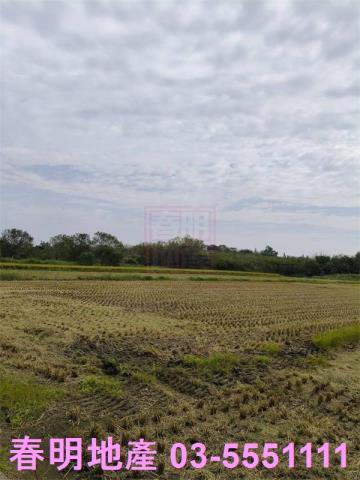 新竹北區農地-6