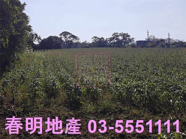 新竹新豐農地-3