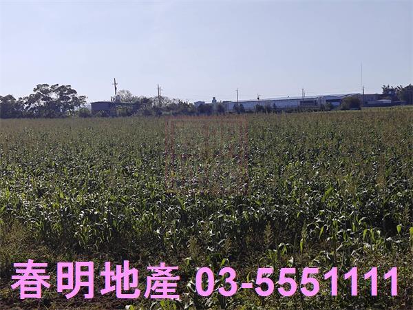 新竹新豐農地-4