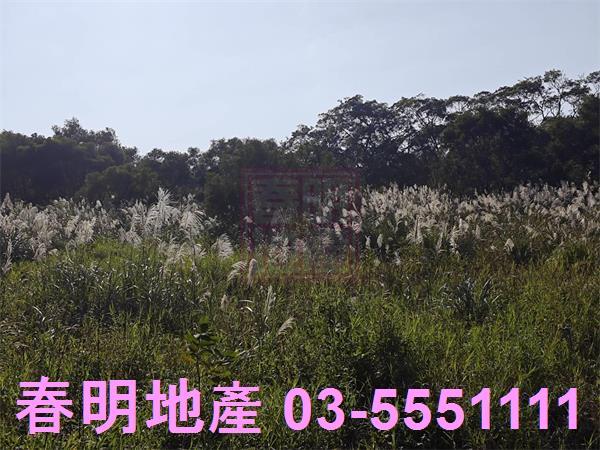 湖口農地-5