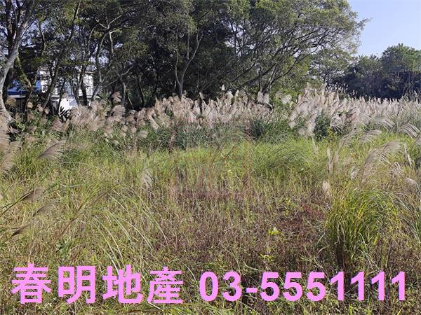 湖口農地-7
