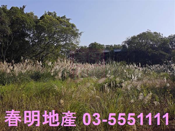 湖口農地-8