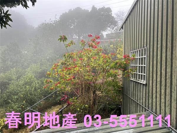 新竹北埔農地-12