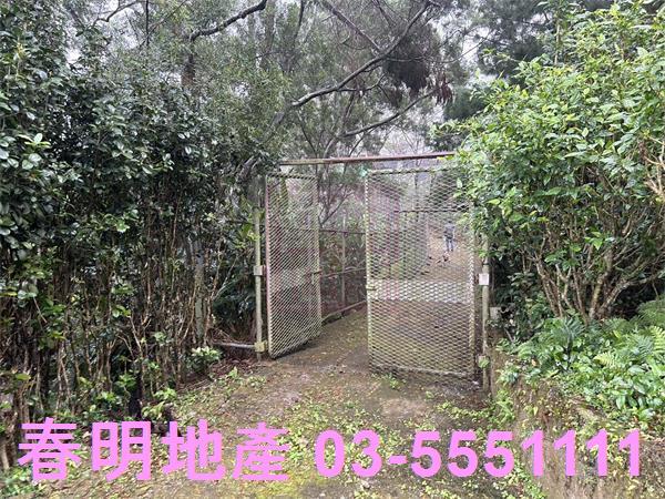 新竹北埔農地-2