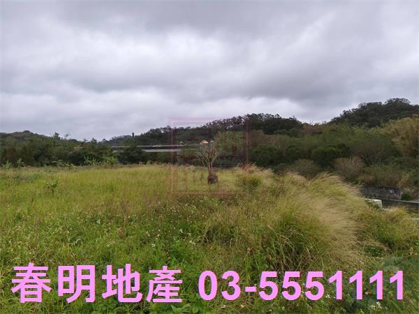 新竹寶山農地-9