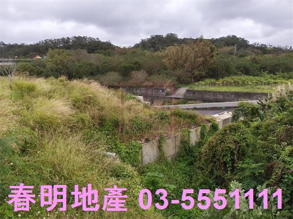 新竹寶山農地-13