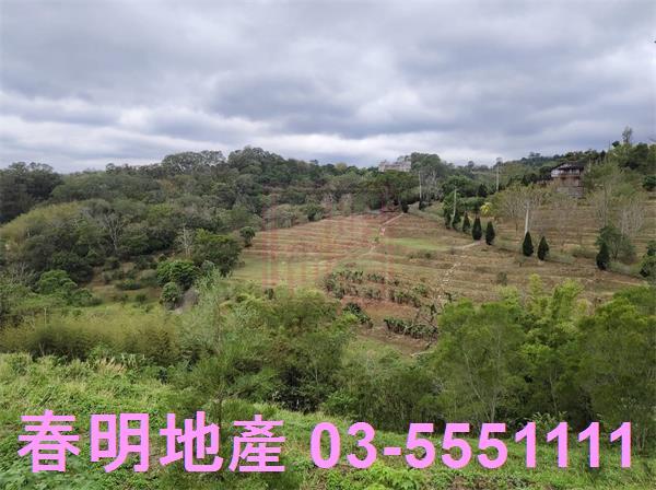 寶山農地-11