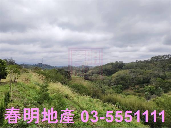 寶山農地-8