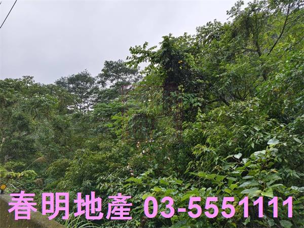 北埔農地-10
