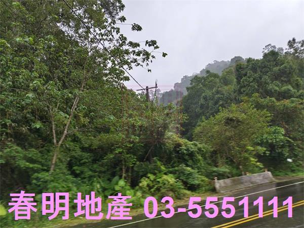 北埔農地-11
