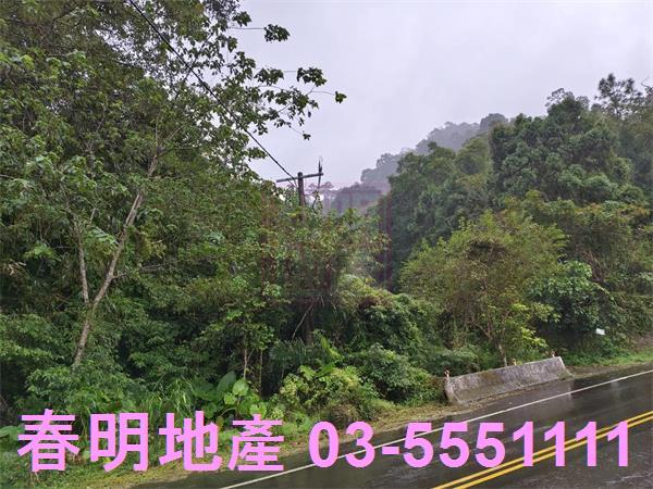 北埔農地-8
