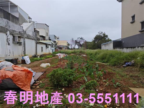 新竹新豐農地-4