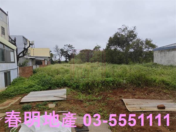 新竹新豐農地-5