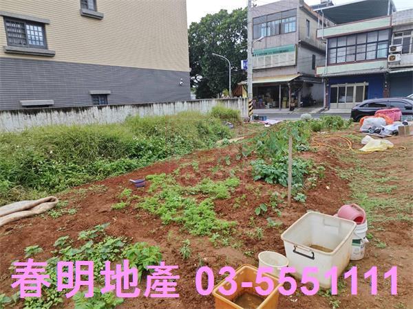 新竹新豐農地-6
