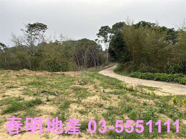 寶山農地-0