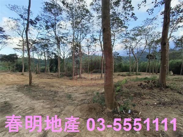 寶山農地-1