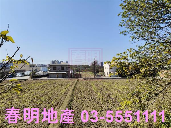 新埔農地-6