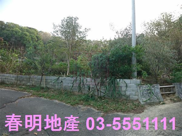 香山農地-11