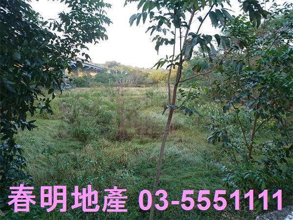 香山農地-7