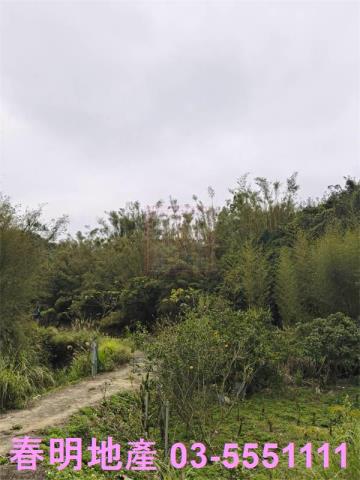 新竹新埔建地-4